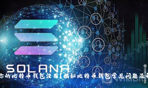 为什么你的比特币钱包没用？揭秘比特币钱包常见问题及解决方案