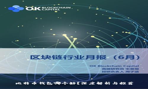 比特币钱包哪个好？深度解析与推荐