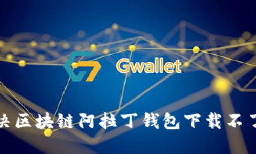 如何解决区块链阿拉丁钱包下载不了的问题