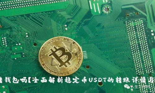USDT能转钱包吗？全面解析稳定币USDT的转账详情与注意事项