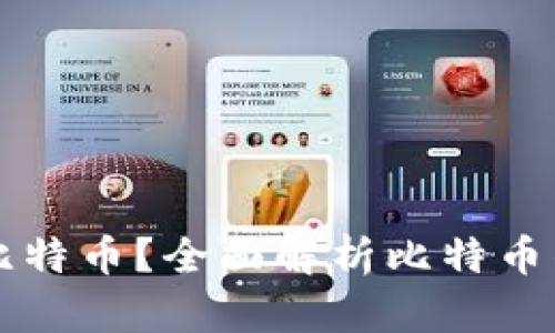 什么钱包可以买比特币？全面解析比特币钱包的选择与使用