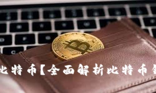 什么钱包可以买比特币？全面解析比特币钱包的选择与使用