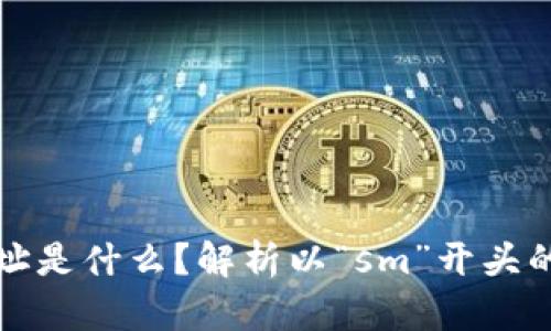 区块链钱包地址是什么？解析以“sm”开头的地址及其含义