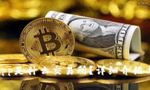 IMXApp是什么交易所？详细介绍与分析