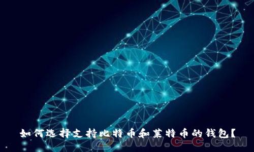 如何选择支持比特币和莱特币的钱包？