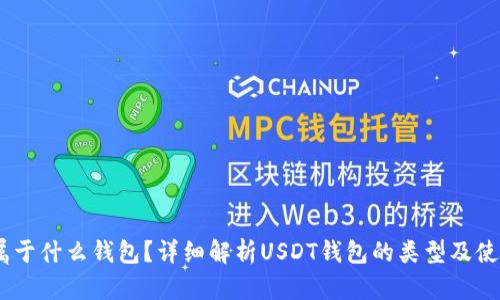 USDT属于什么钱包？详细解析USDT钱包的类型及使用方法