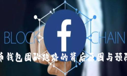 虚拟币钱包团队跑路的背后原因与预防措施