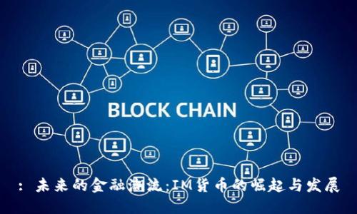 : 未来的金融潮流：IM货币的崛起与发展