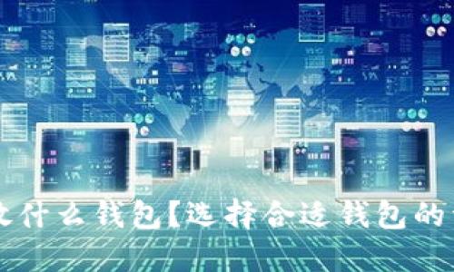 比特币放什么钱包？选择合适钱包的详细指南
