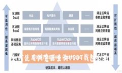 如何使用浏览器查询USDT钱