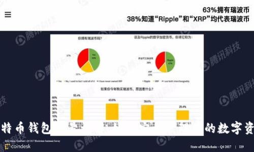 比特币钱包账号详解：如何安全管理你的数字资产