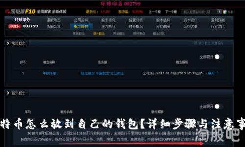 比特币怎么放到自己的钱包？详细步骤与注意事项