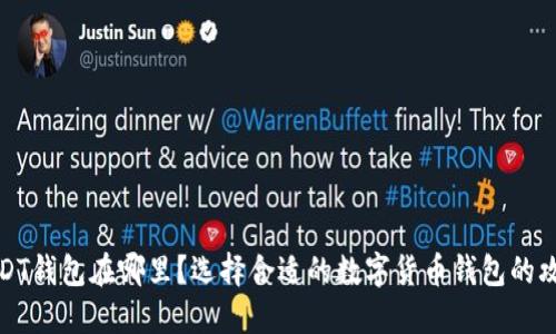 USDT钱包在哪里？选择合适的数字货币钱包的攻略