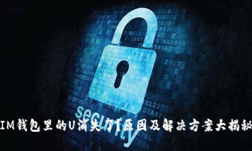 IM钱包里的U消失了？原因及解决方案大揭秘