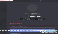 USDT存放在哪种钱包最安全