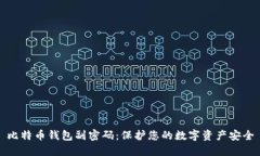 比特币钱包副密码：保护