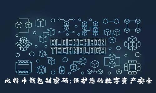 比特币钱包副密码：保护您的数字资产安全