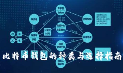 比特币钱包的种类与选择指南