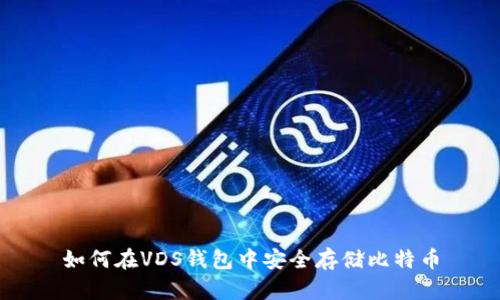 如何在VDS钱包中安全存储比特币