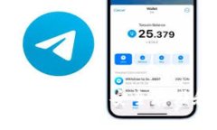 如何在imToken钱包中安全存储和交易狗狗币