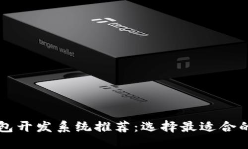 区块链钱包开发系统推荐：选择最适合的解决方案