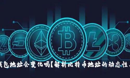 比特币钱包地址会变化吗？解析比特币地址的动态性与安全性