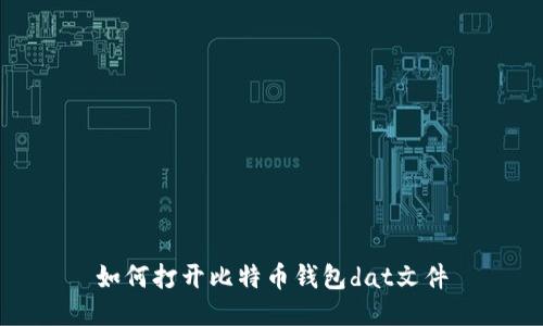 如何打开比特币钱包dat文件