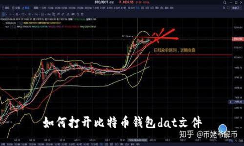 如何打开比特币钱包dat文件