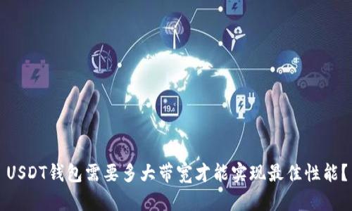 USDT钱包需要多大带宽才能实现最佳性能？