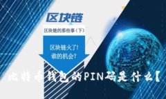 比特币钱包的PIN码是什么