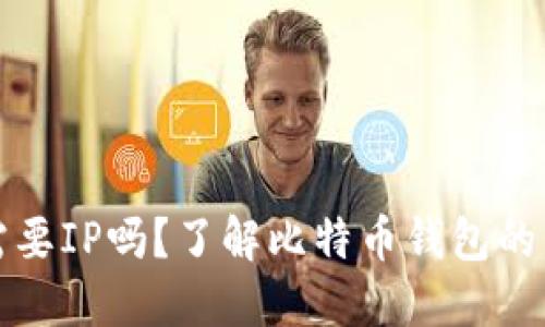 比特币钱包需要IP吗？了解比特币钱包的网络连接问题