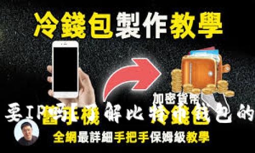 比特币钱包需要IP吗？了解比特币钱包的网络连接问题