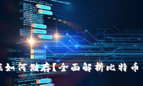 比特币钱包的数据如何储存？全面解析比特币钱包的安全与管理