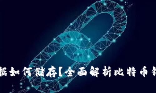 比特币钱包的数据如何储存？全面解析比特币钱包的安全与管理