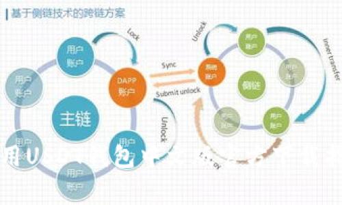 常用USDT钱包中文版官方下载指南