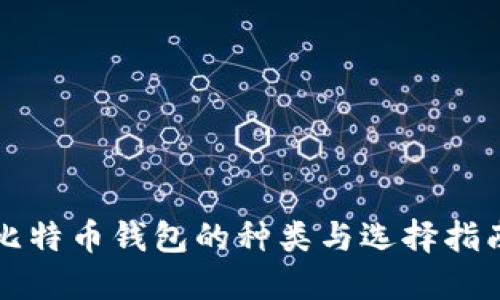 比特币钱包的种类与选择指南