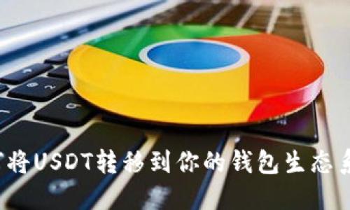 如何将USDT转移到你的钱包生态系统？