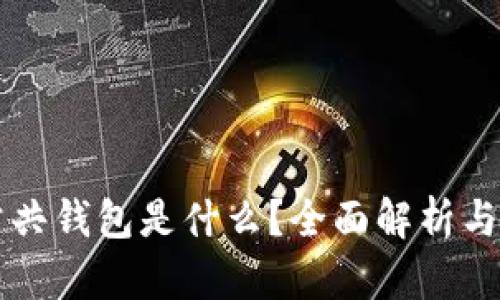 区块链公共钱包是什么？全面解析与使用指南