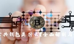 区块链公共钱包是什么？