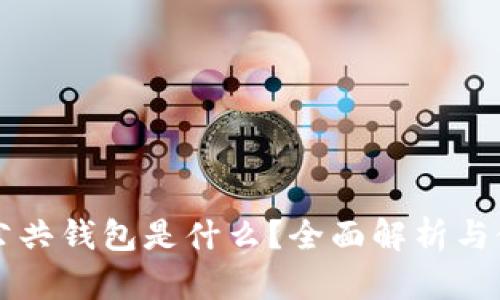 区块链公共钱包是什么？全面解析与使用指南