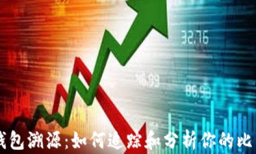 
比特币钱包溯源：如何追踪和分析你的比特币交易