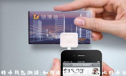 
比特币钱包溯源：如何追踪和分析你的比特币交易