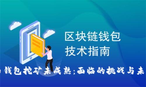 虚拟币钱包挖矿未成熟：面临的挑战与未来发展
