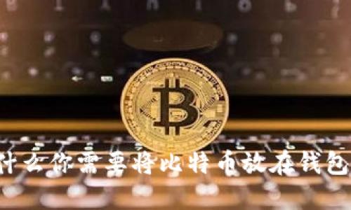 为什么你需要将比特币放在钱包中？