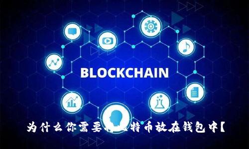 为什么你需要将比特币放在钱包中？
