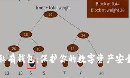 比特币私有钱包：保护你的数字资产安全与隐私
