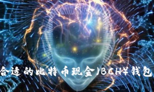 如何选择合适的比特币现金（BCH）钱包：全面指南