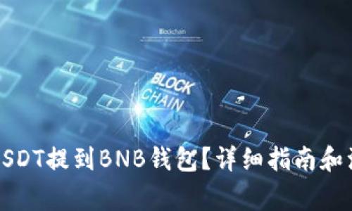 如何将USDT提到BNB钱包？详细指南和注意事项