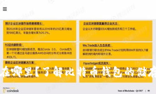 比特币钱包存在哪里？了解比特币钱包的储存方式与安全性