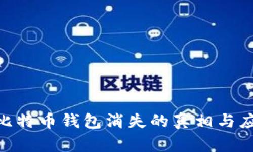 : 当年比特币钱包消失的真相与应对措施
